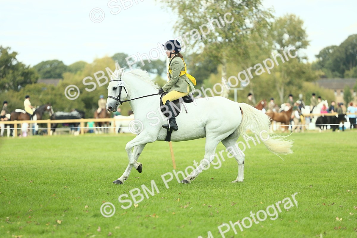 SBM_44947 - Working Hunter Pony Supreme Championship