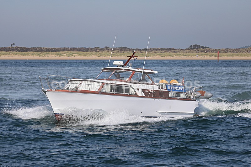 190824 SEA CHASER II - ROYAL CRUISER IV 1Y3A9279 - 190824 SEA CHASER II - ROYAL CRUISER IV
