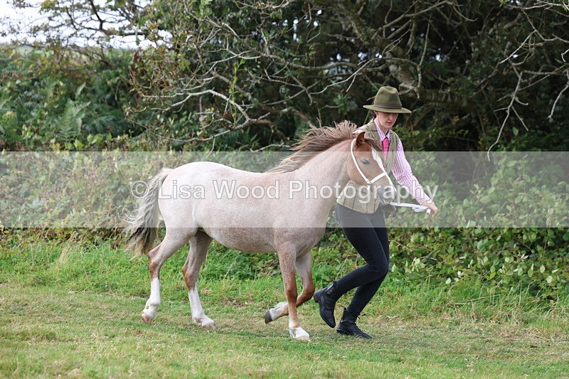 3E7A5377 - Class 19: Best Coloured in Hand