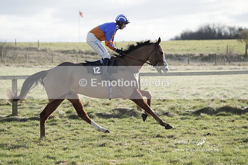 PtP 260223 1120 - South & West Wilts Point-to-Point Larkhill 26/02/23