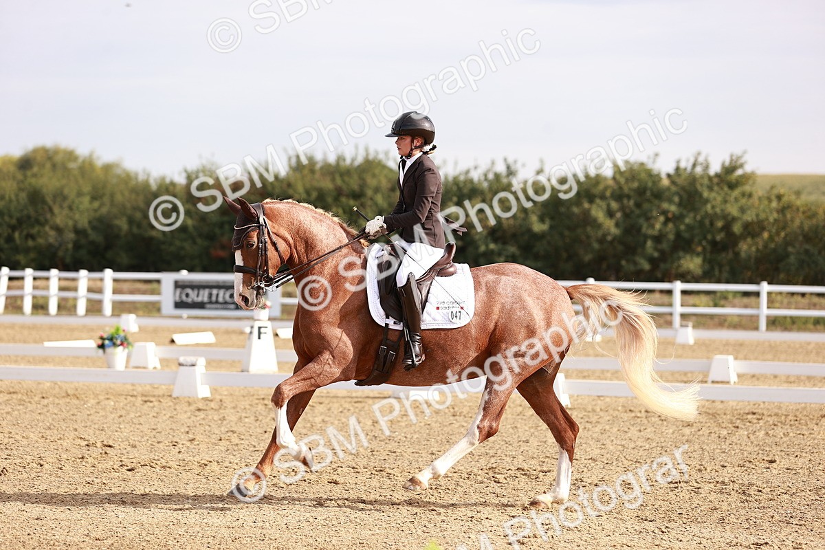 SBM_016862 - Class 10 - Medium 6