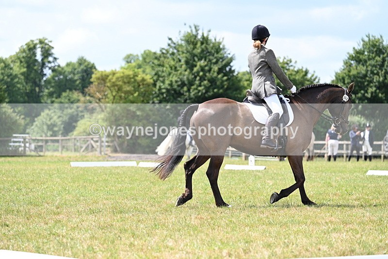 WJ7_4798 - Time 11:22 to 11:51