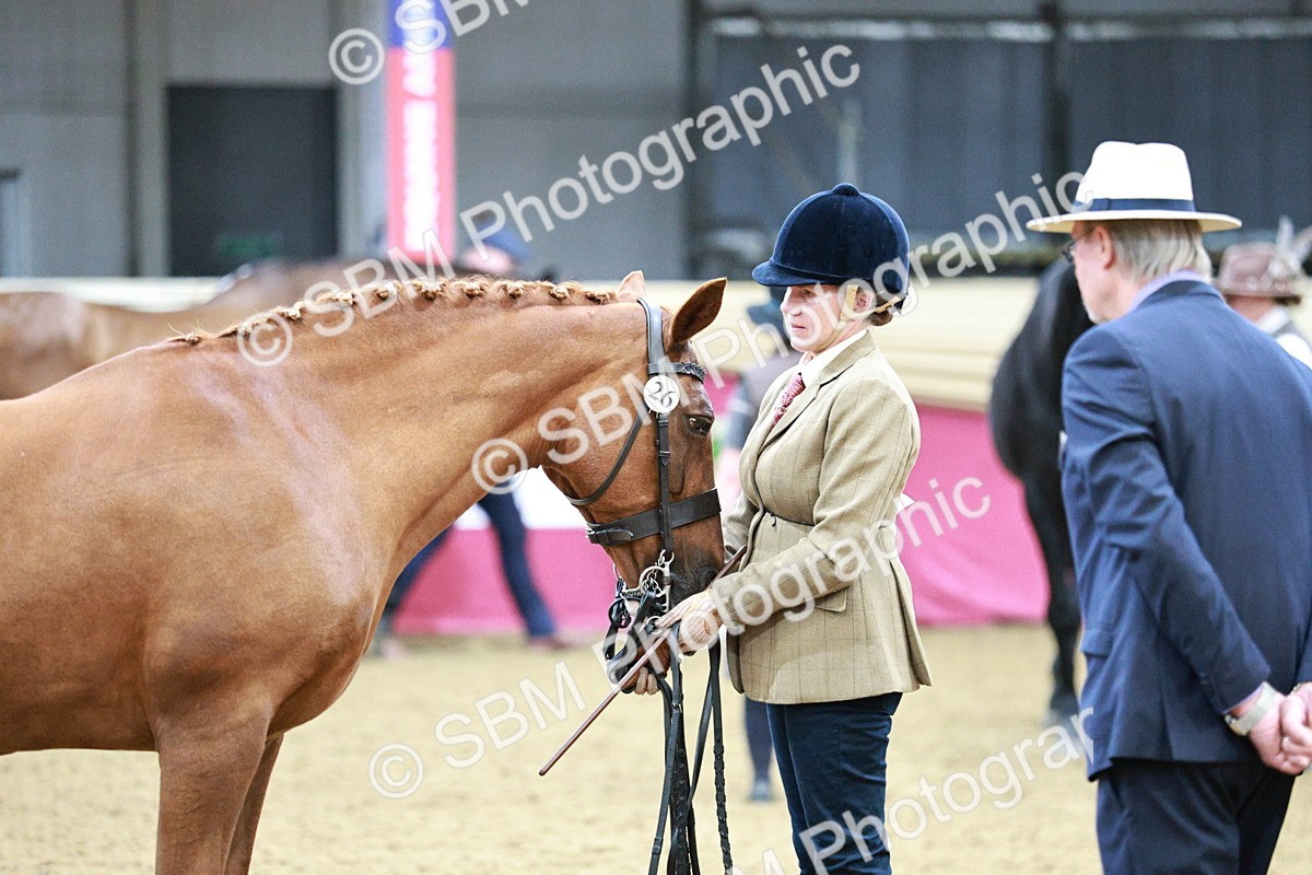 SBM_00259 - Class 1A - Area IH Diamond