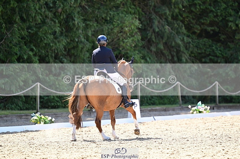 260731A-111807-00304 - Elementary Bronze 10.30 - Break