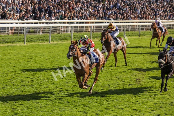 141023-Race 3-Montassib-0416 - Race 3 2.25pm Coral Sprint Trophy Handicap