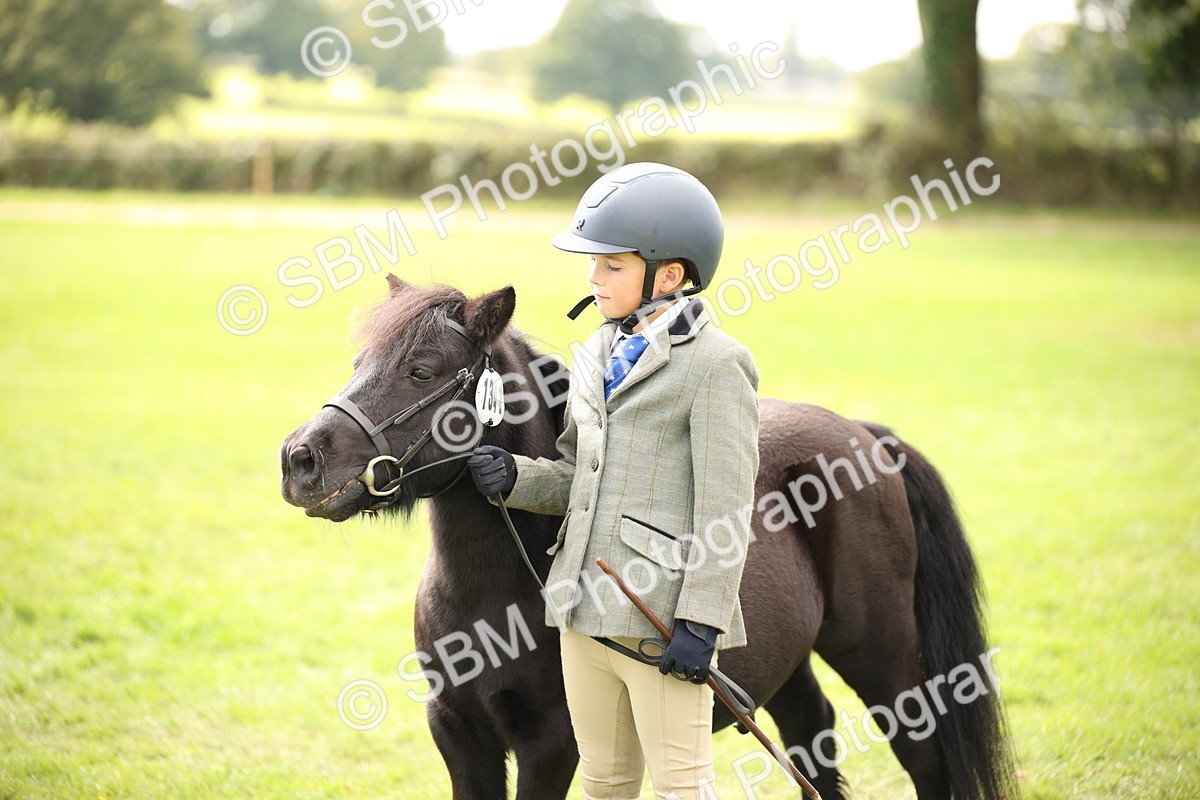SBM_46373 - S25 - Mature Veteran In Hand