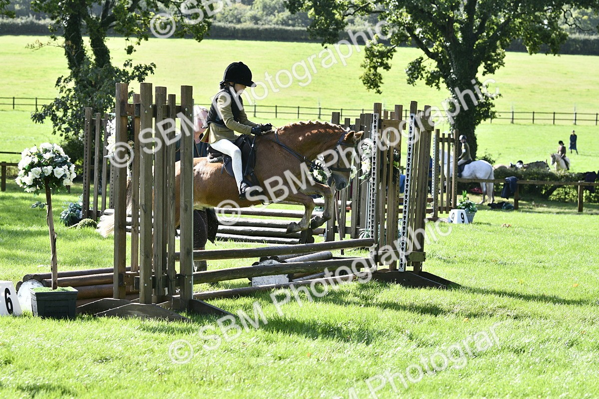 SBM_38230 - S31 - Novice & Newcomer Working Hunter Pony