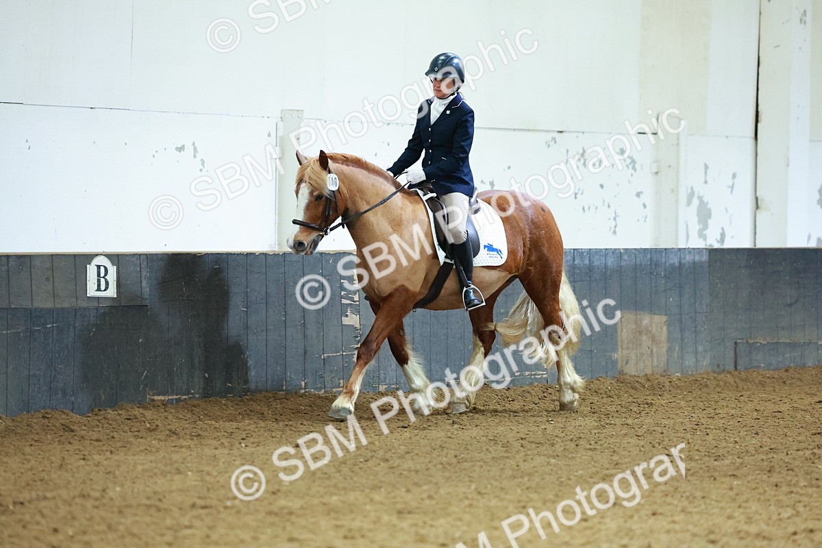 SBM_003632 - Novice 2
