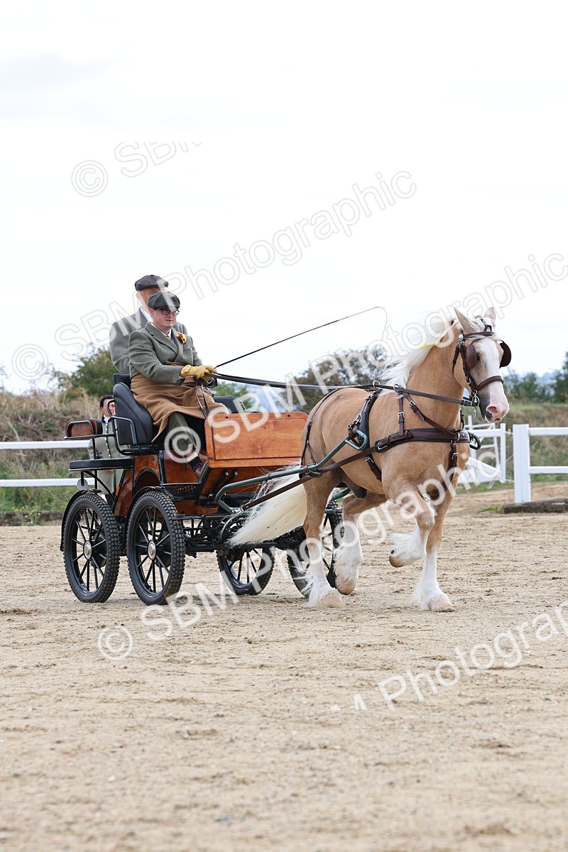 SBM_000766 - Class 6 - Exercise Vehicle 13.2 and over