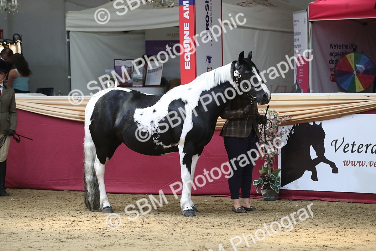 SBM_06221 - Class 9R Regional- IH Pre Vet