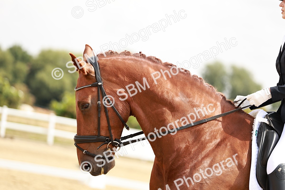 SBM_002716 - Class 6 - Novice 6 Silver - 10.17-11.20