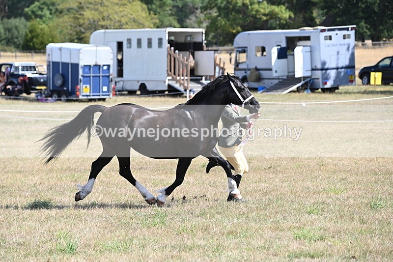 WJ6_5102 - Class 17 Mountain & Moorland