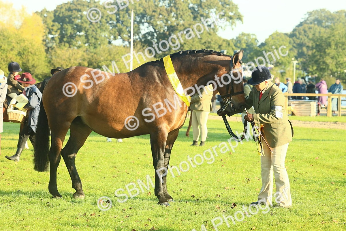 SBM_56738 - S36 - Starters Best Turnout