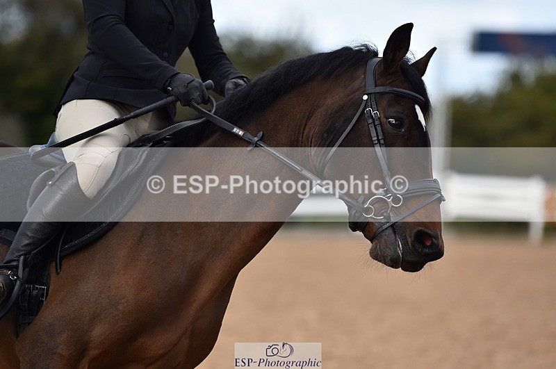 231014A-111556-03979 - Cls 13 85cm Amateur Q 2nd R