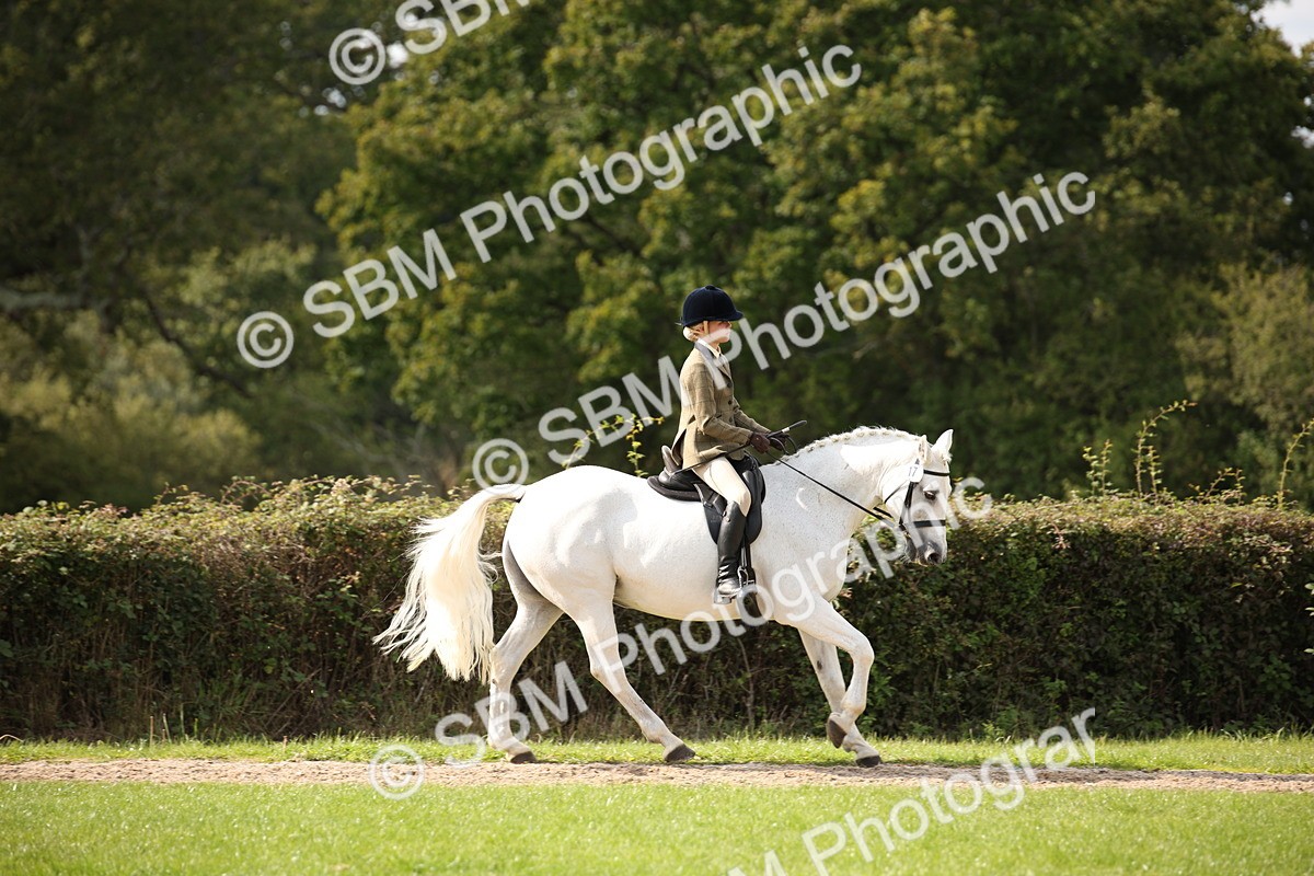 SBM_49971 - S26 - Young Veteran - Ridden