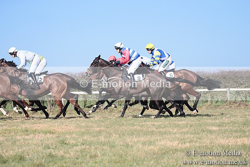 PtP 230219 241 - Vine & Craven Point-To-Point - Barbury 23/02/19