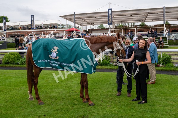 250524-Race 6-Primo Lara-0611 - Race 6 4.30pm Royal Yorkshire Regiment Handicap