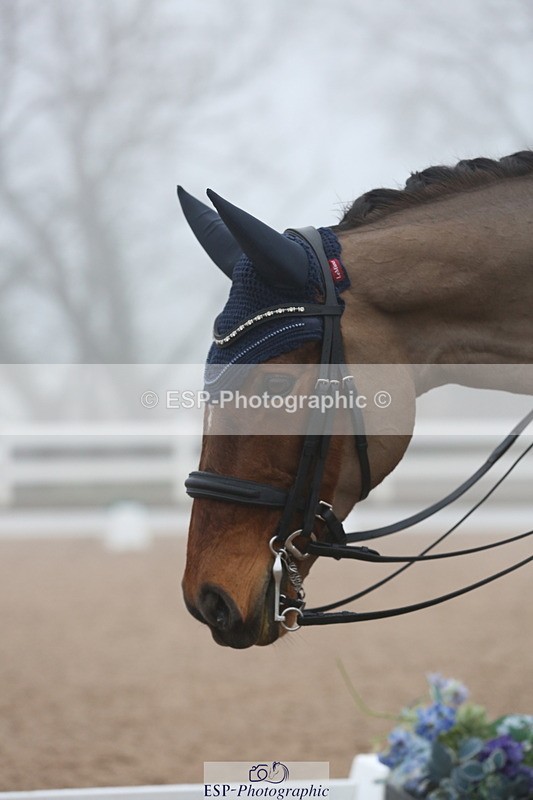 240217A-103644-01022 - 228-Abby.Bannell-Royal.Dalliance