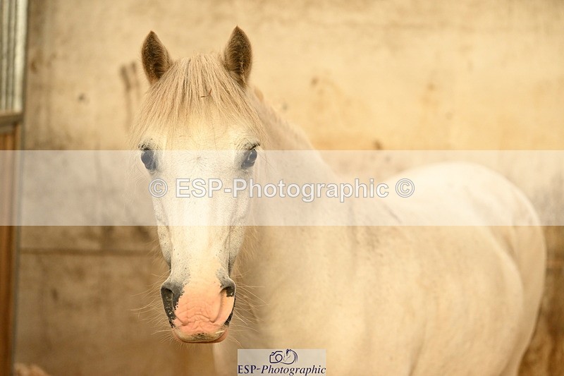 240809A-090904-00060 - Stable Shots