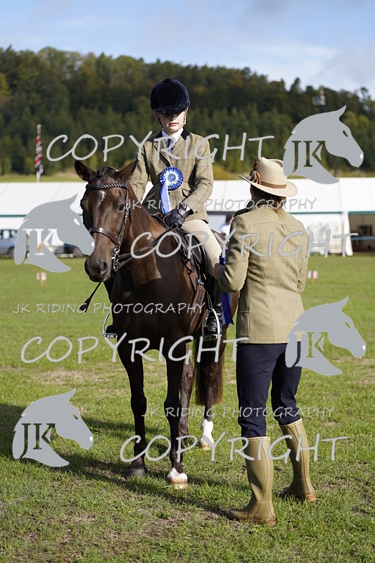 _DSC9580 - Class 8 & 17 Ridden Hunter & Ridden Hunter Pony
