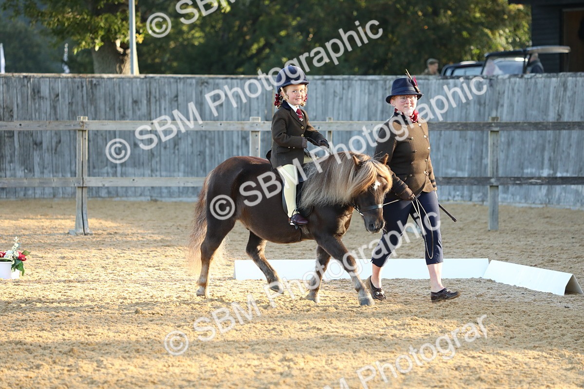 SBM_33539 - D26 - Starers - Lead Rein