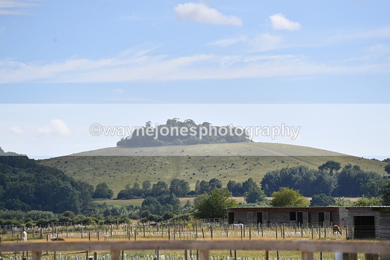 WJ5_5465 - Poles on the Floor