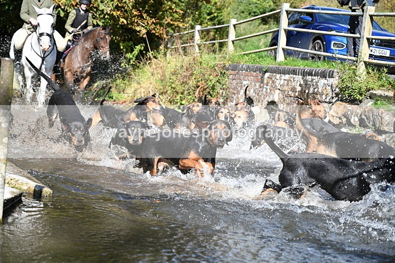 WJ7_5976 - Hounds Water Crossing