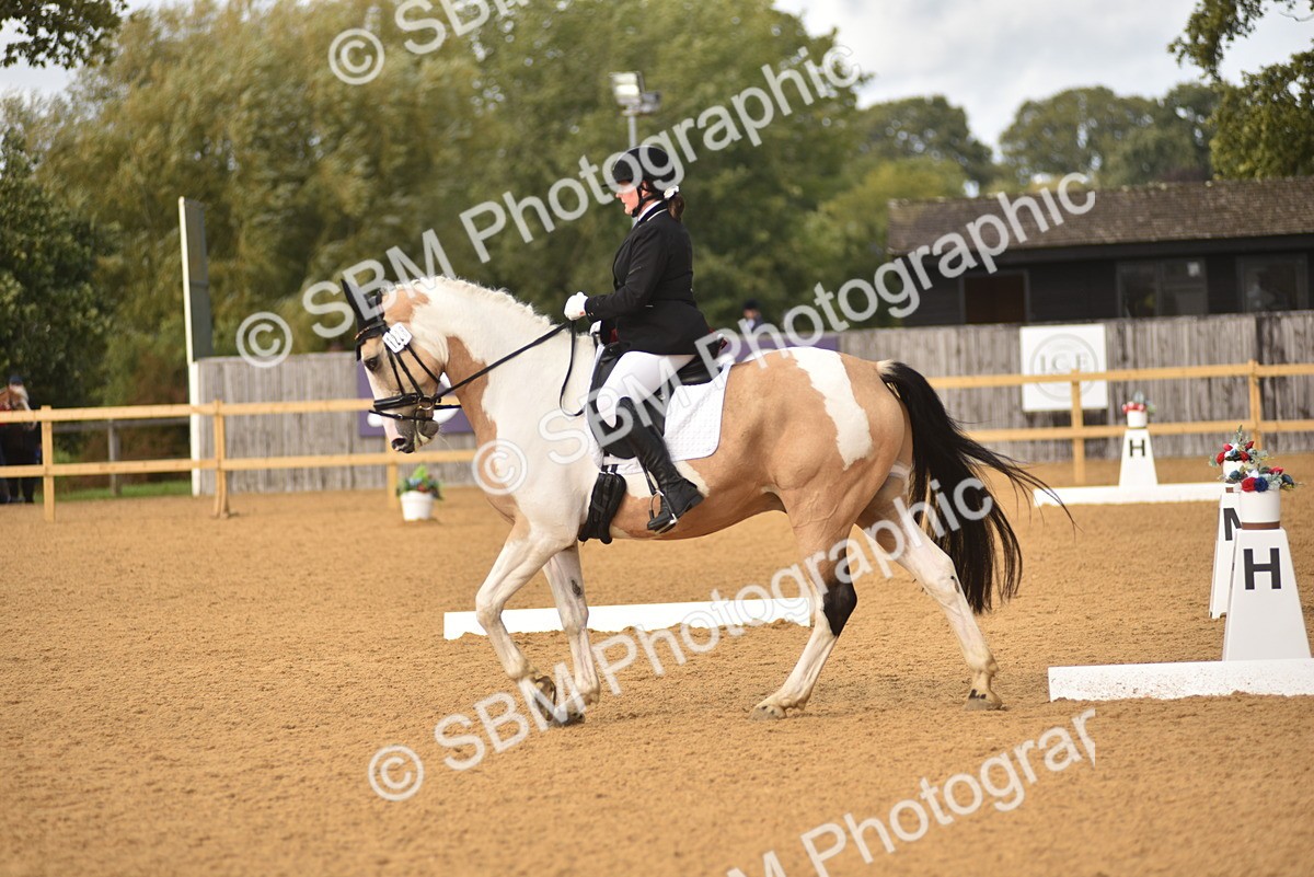 SBM_24360 - D4 - Small Tour Championship Intro 4