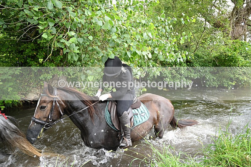 WJ7_2015 - Camera 2 Water Crossing