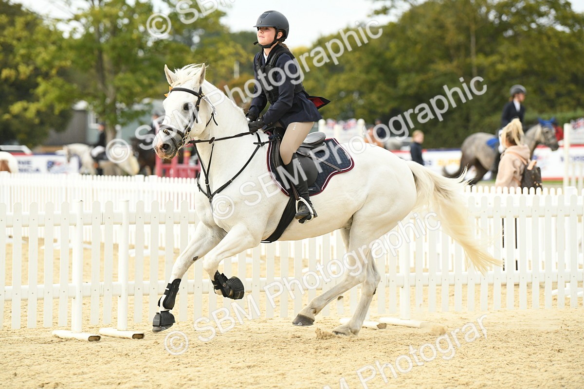 SBM_73403 - J16 - Junior Pony 75cm Championship