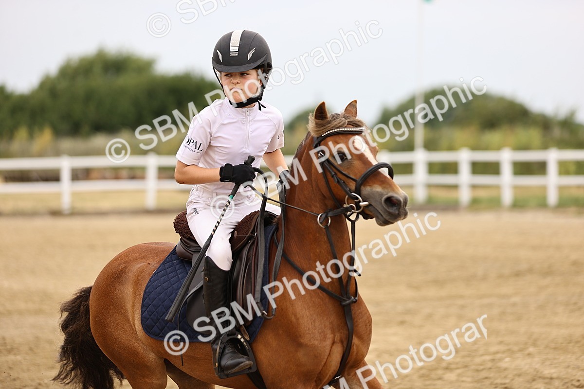 SBM_002205 - Class 3 - 60cm