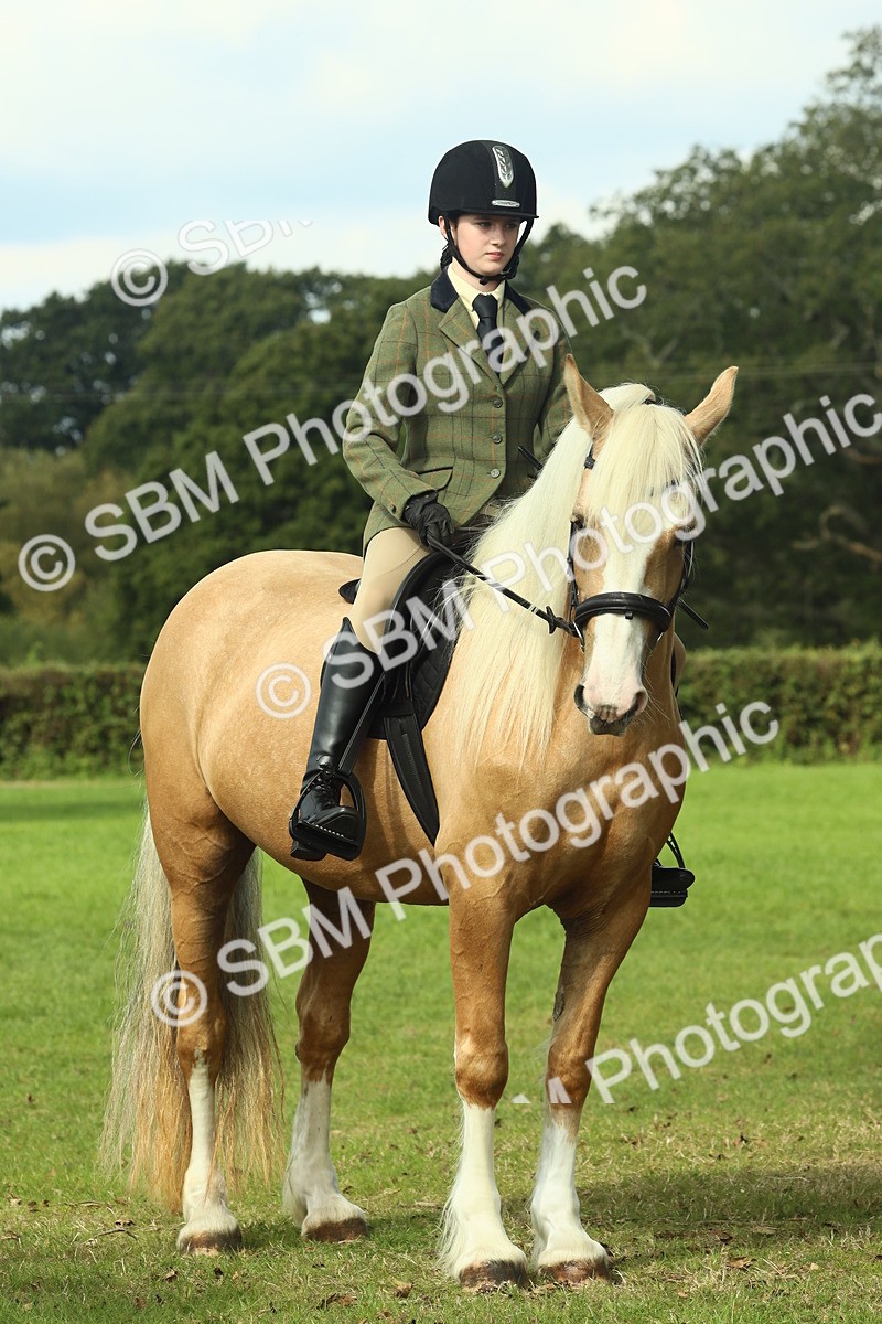 SBM_62678 - S63 - Other Coloured Horse Ridden