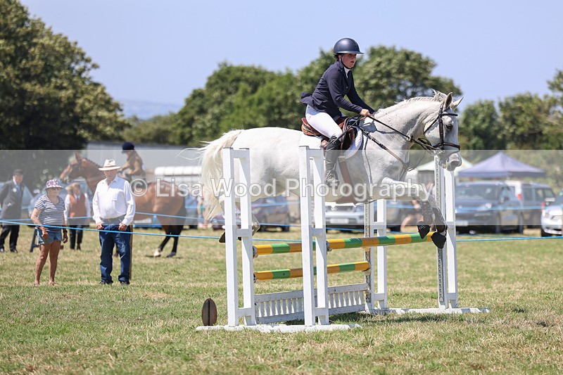 3E7A4409 - Class 10: Senior British Novice/90cm open