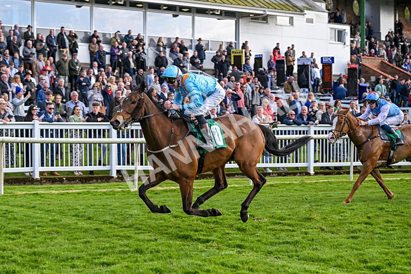 200424-Race 5-Cold Stare-6942 - Race 5