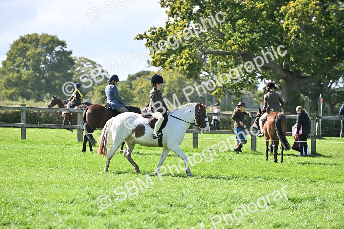 SBM_44565 - S13 - Pony Club Pony