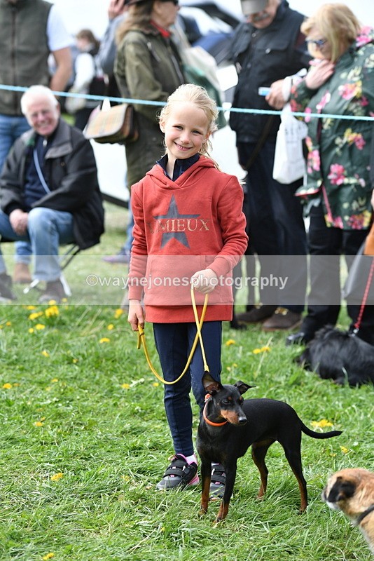 WJ5_0566 - Class 7 Best Terrier