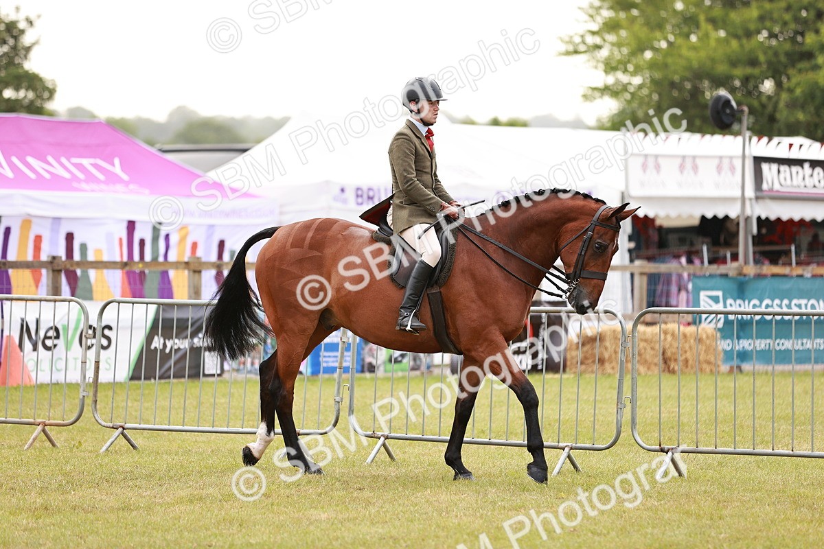 SBM_10736 - Class 81-84 - RIHS Ridden hunters Inc Ladies Hunter