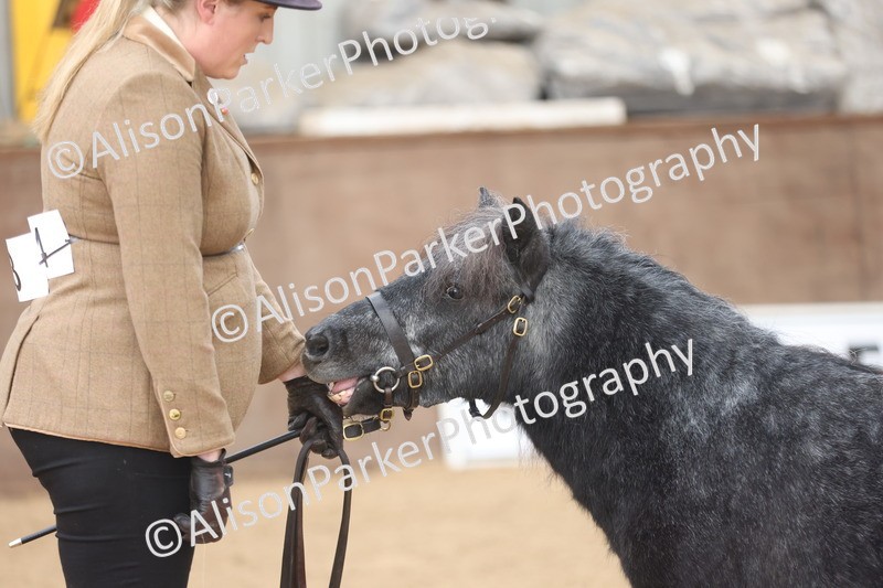 20251109-0035 - Class 3 - 2 and 3 Year Old