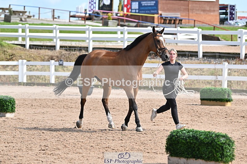 240717A-160212-03272 - Trot Up 4pm to 5pm