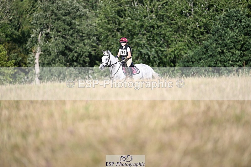 250803A-181351-18632 - R-824-Poppy.Wilkinson-DAISY.DER.BLUME