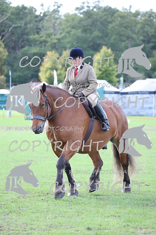 APP_3659 - Class 8 Ridden Class