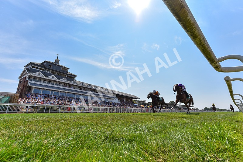 160726-Race 2-Hatamoto-3341 - Race 2 14.28pm By Chen Presidential Apprentice Handicap