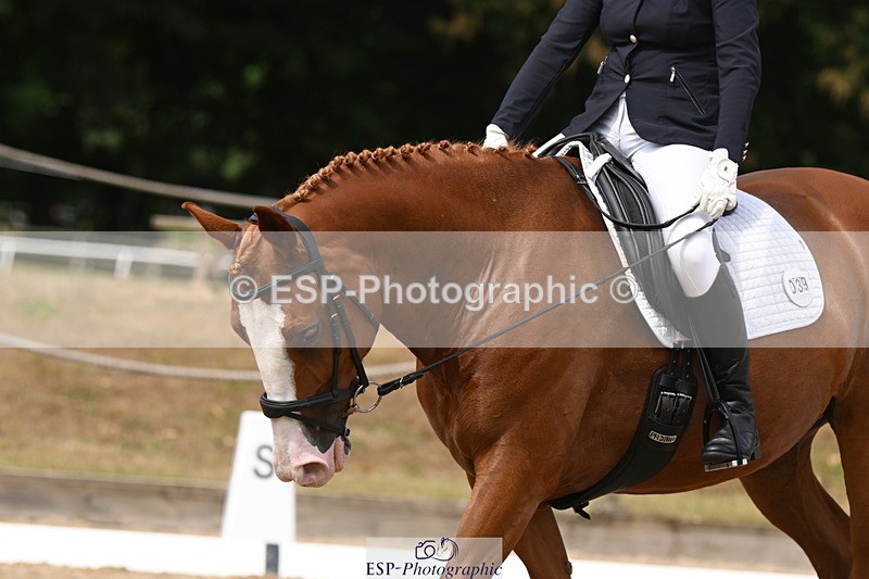 250719A-113538-04434 - 039-Caroline.Toman-D-Pandora.Ramall