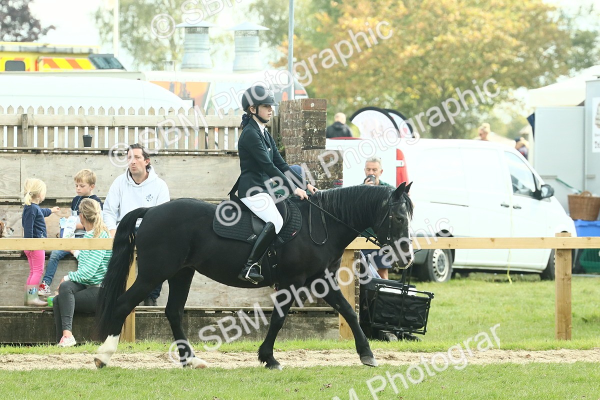 SBM_66398 - S34 - Rehabilitated Rescue Horse & Pony In Hand & Ridden