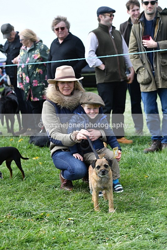 WJ5_0556 - Class 7 Best Terrier