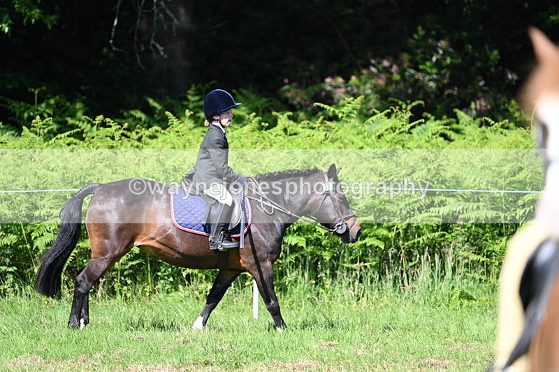 WJ7_0593 - Class 8 First Rally Pony
