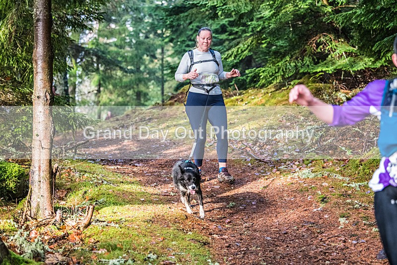 Glentress-1707 - High Terrain Events Glentress Winter Trail half Marathon & 10K Trail Run Saturday 19th November 2022