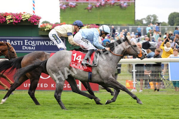 yr18082022r2-43 - Race 2 2.25pm Goffs UK Harry Beeby Premier Yearling Stakes