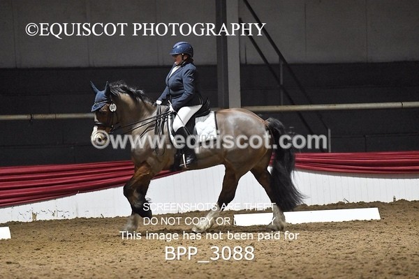 BPP_3088 - ELEM TEST 6