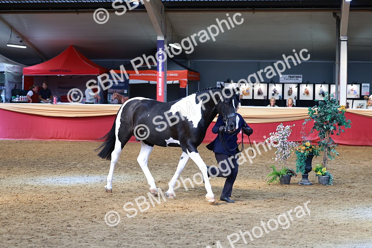 SBM_18515 - Class 903 - Sup Final - IH Pre Vet
